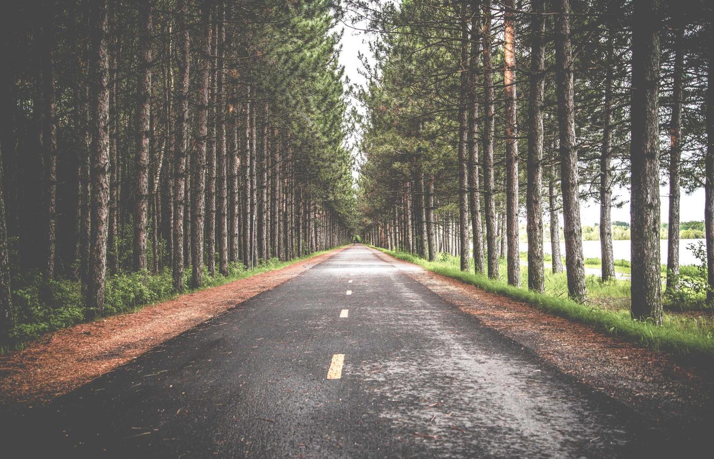 Foto de cliente satisfeito